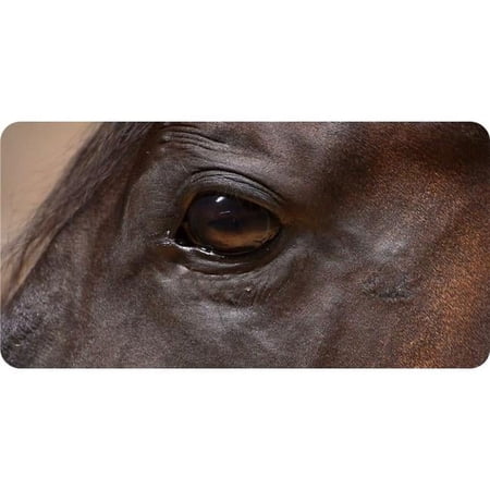 Brown Horse Eye View Photo License Plate