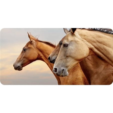 Horses Side View Photo License Plate