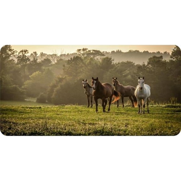 212 Main LPO5607 6 x 12 in. Horses at Forest Edge Photo License Plate