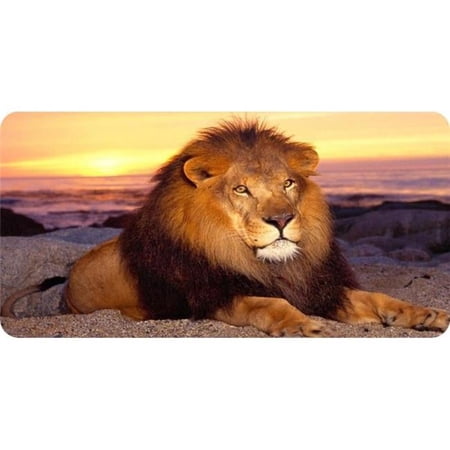 212 Main LPO5609 6 x 12 in. Lion at Rest Photo License Plate