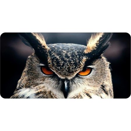 Owl #2 Photo License Plate