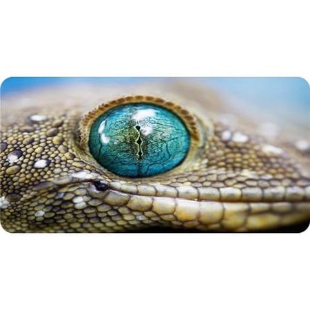 Lizard Eye View Photo License Plate