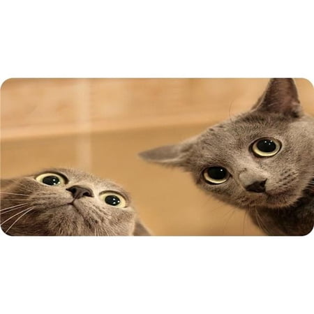 Silly Cats Photo License Plate