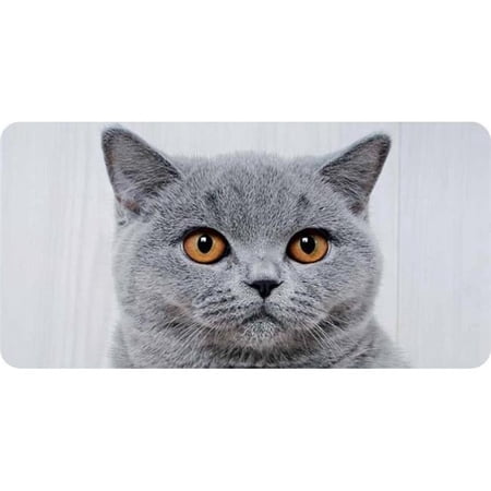 Gray Cat Face Photo License Plate