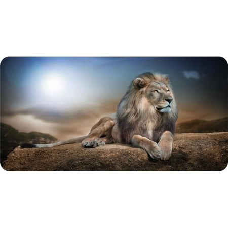 212 Main LPO5800 6 x 12 in. Lion Resting on Rock Photo License Plate