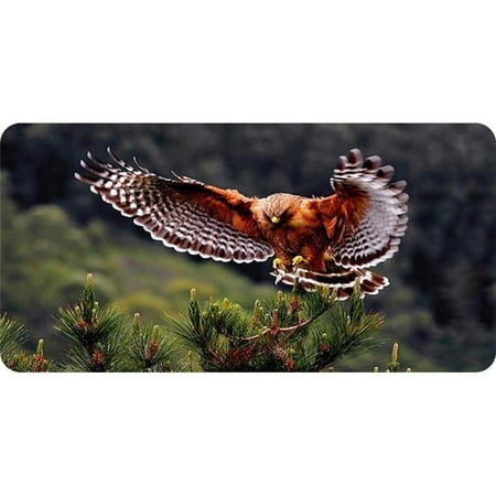 212 Main LPO5804 6 x 12 in. Eagle Landing on Branch Photo License Plate