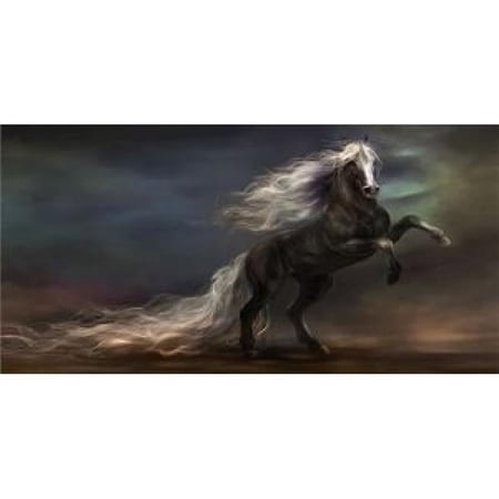 212 Main LPO605 Abstract Horse Photo License Plate