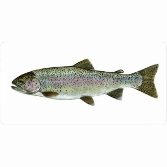 212 Main LPO624 Rainbow Trout Mounted on White Photo License Plate