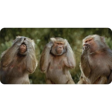 Three Monkeys Photo License Plate