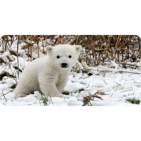 Baby Polar Bear Photo License Plate