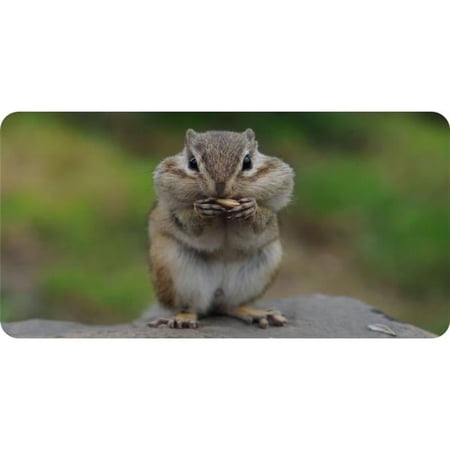 Chipmunk Photo License Plate