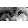 thumbnail image 1 of 212 Main LPO6733 6 x 12 in. Wolf with Red Eyes Photo License Plate, 1 of 1
