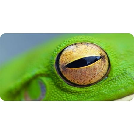 Frog Eye Photo License Plate