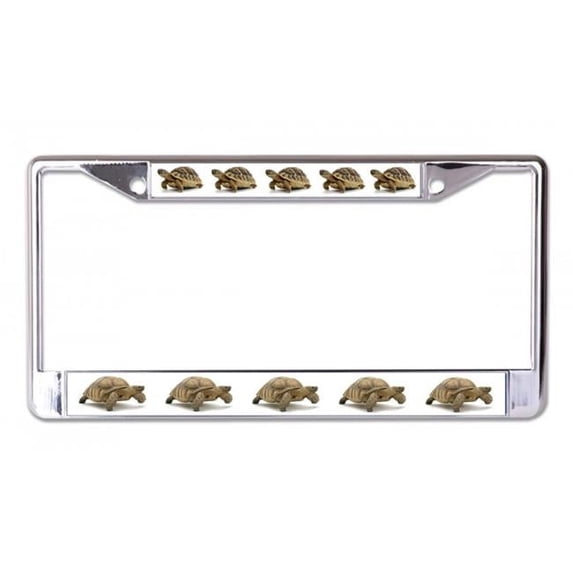 Tortoise Chrome License Plate Frame