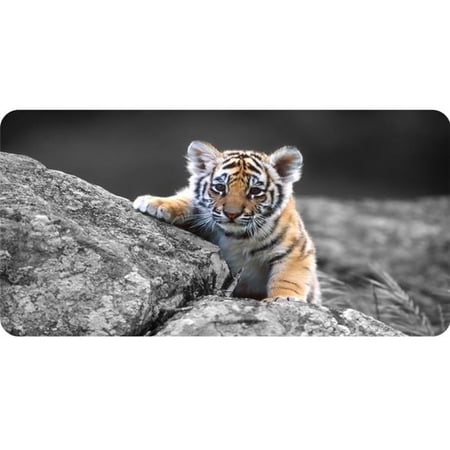 Baby Tiger Photo License Plate