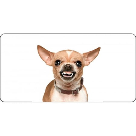 Angry Chihuahua Photo License Plate