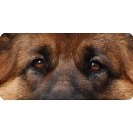 German Shepherd Eyes Photo License Plate