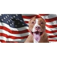 thumbnail image 1 of 212 Main LPO7545 6 x 12 in. Red Pitbull on U.S. Flag Photo License Plate, 1 of 1