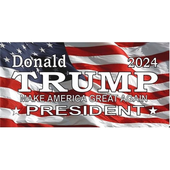 212 Main LPO7557 6 x 12 in. Donald Trump 2024 on U.S. Flag Photo License Plate