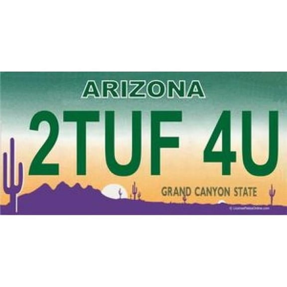 212 Main LPO797 Arizona 2TUF 4U Photo License Plate