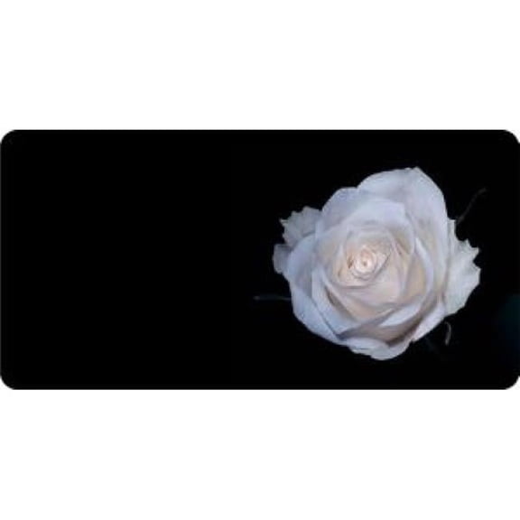 212 Main LPO856 White Rose Offset Photo License Plate