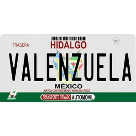 212 Main LPO897 Mexico Hidalgo Photo License Plate