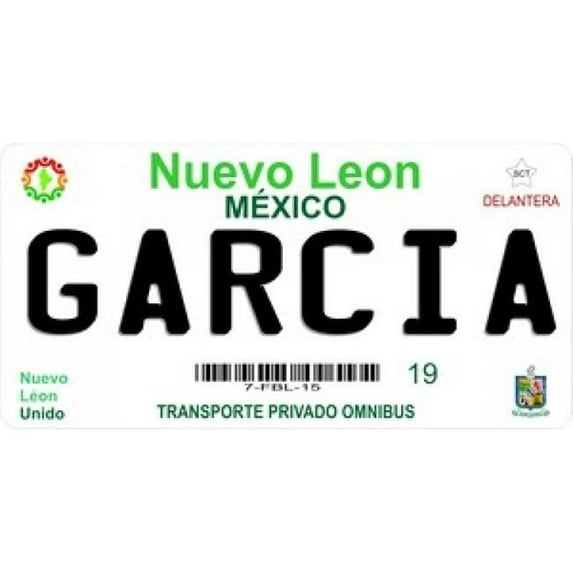 212 Main LPO903 Mexico Nuevo Leon Photo License Plate