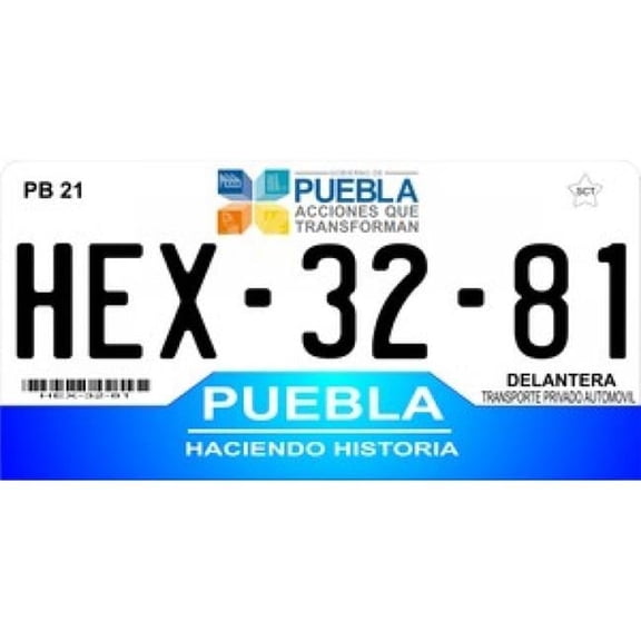 212 Main LPO905 Mexico Puebla Photo License Plate