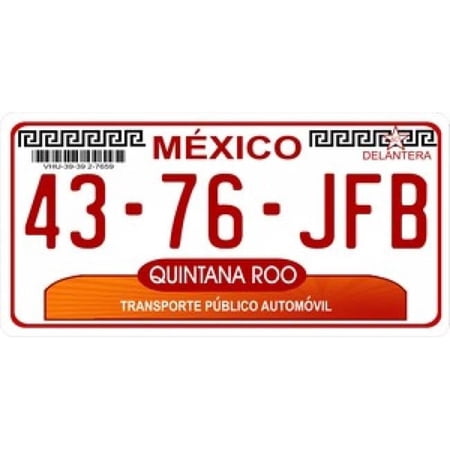 212 Main LPO907 Mexico Quintana Roo Photo License Plate