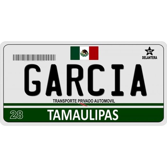 212 Main LPO912 Mexico Tamaulipas Photo License Plate