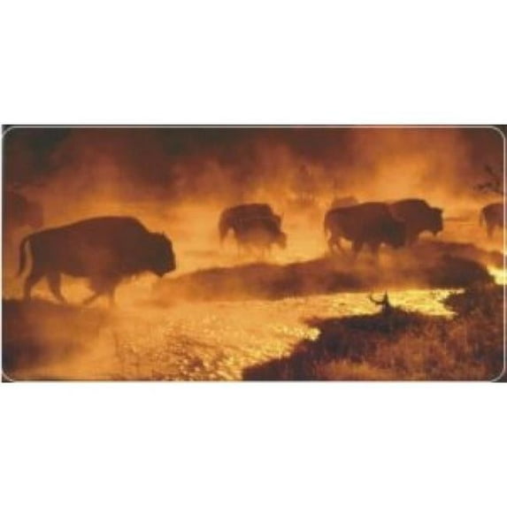 Bison / Buffalo Photo License Plate