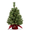 thumbnail image 1 of 212 Main  Majestic Spruce 2 FT Tree in Burgundy Cloth Bag with 35 Warm White Battery Operated Operated LED Lights - White - 24 in., 1 of 3
