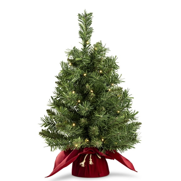 212 Main Majestic Spruce 2 FT Tree in Burgundy Cloth Bag with 35 Warm White Battery Operated Operated LED Lights - White - 24 in.