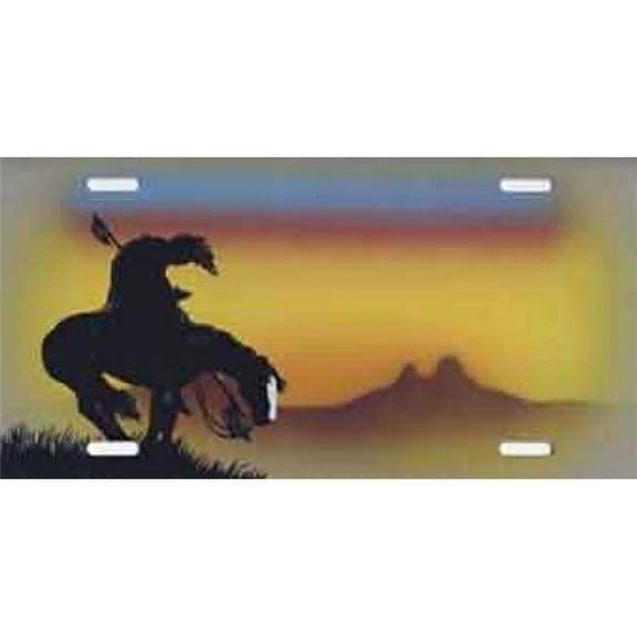 212 Main SM205 6 x 12 in. End of Trail Airbrush License Plate