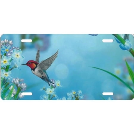 212 Main SM367 6 x 12 in. Hummingbird Airbrush License Plate