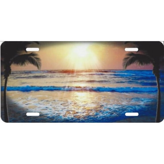 212 Main T1752 6 x 12 in. Incoming Tide Beach Palm Airbrush License Plate, Free Names on This Air Brush