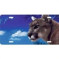 thumbnail image 1 of 212 Main T2234B 6 x 12 in. Cougar on Blue License Plate, Free Personalization on This Plate, 1 of 1