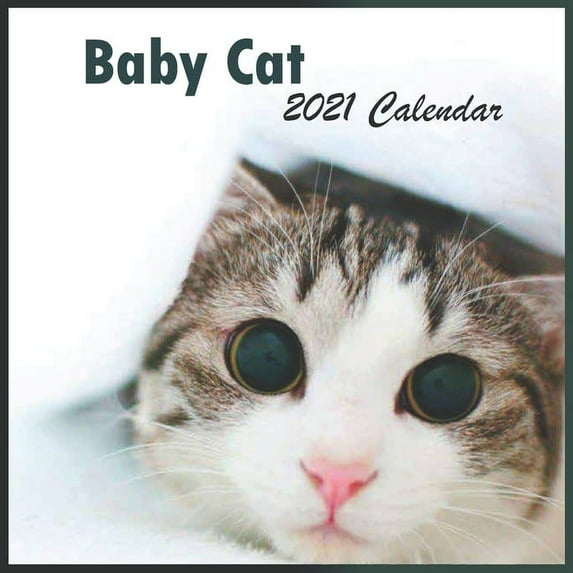 2121 baby cats calendar (Paperback)