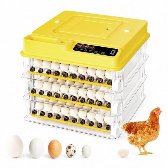 216 Egg Incubator for Hatching Eggs, Fully Automatic Egg Incubator with Auto Temp/Water/Turning, for Chicken Duck Goose Quail Pigeon Turtle Eggs, Humidity Control by Bottles, 360 View Clear Window