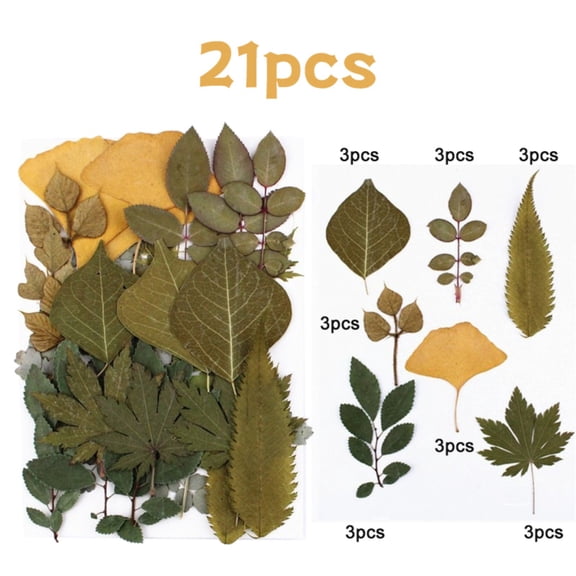 21Pcs Real Dried Flowers Leaf,Artificial Flowers Look Like Real,Embossed Bag Real Flower True Leaf Specimen Green Leaf Scrapbook Supplies Card  DIY