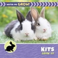 thumbnail image 1 of 21st Century Beginning Library: Watch Me Kits Grow Up, (Hardcover), 1 of 1