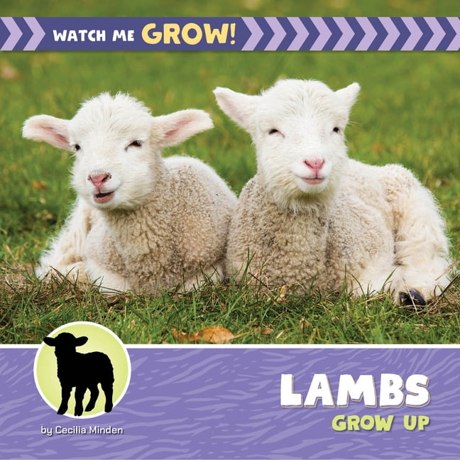 21st Century Beginning Library: Watch Me Lambs Grow Up, (Hardcover)