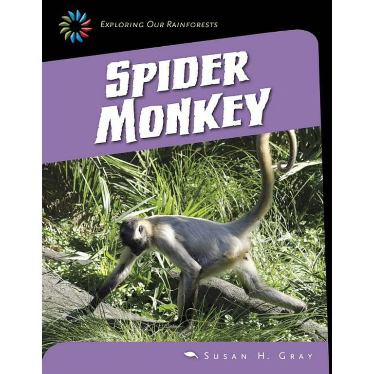 21st Century Skills Library: Exploring Our Rainforests: Spider