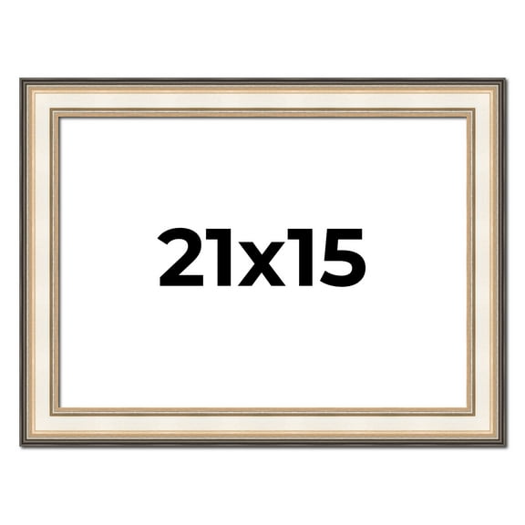 21x15 Frame Gold Silver Plein Aire 2" Inch Wide Moulding Solid Wood Picture Frame | Modena