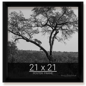 21 x 21 Inch Frames for Photos and Art