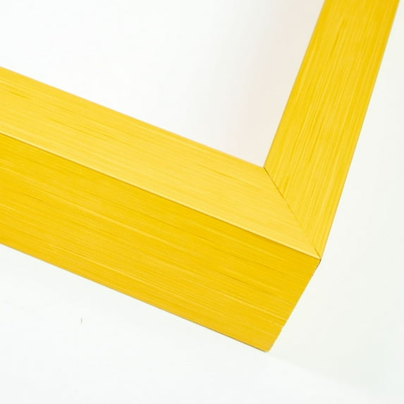 21x44 Frame Gold Solid Wood Shadow Box Width 1 Inches | Interior Frame Depth 2 Inches | Eleni