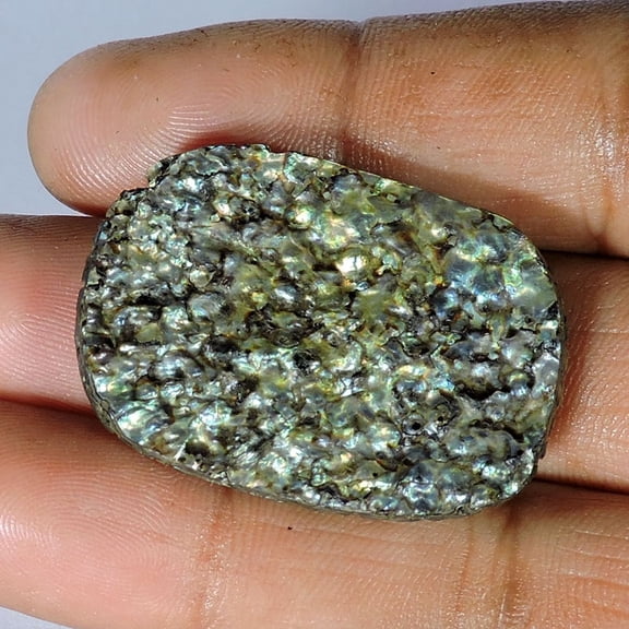 22.00Cts Natural Fossil Abalone Shell 36x25mm Oval Cabochon Loose Gemstone