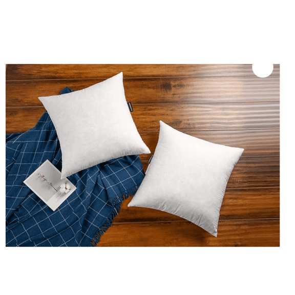 22×22 Premium Goose Down Feather Throw Pillow Inserts(Set of 2)-5% Down Filling,High Filling Weight,250 TC Cotton Cover, Square, White