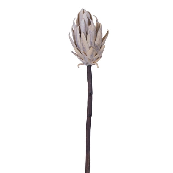 22" Cream/Purple Protea Stem 2/Bag