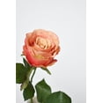 thumbnail image 1 of 22" Faux Large Rose Bud Stem Light Coral, 1 of 6